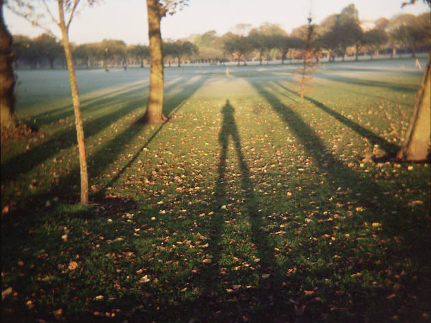 Long shadows Long shadows