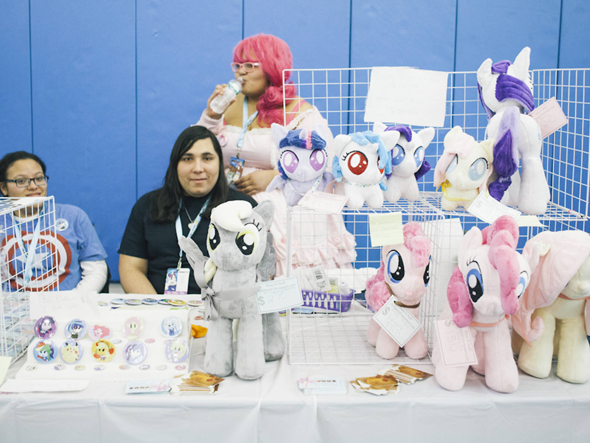 See photos of the 2015 Ponycon