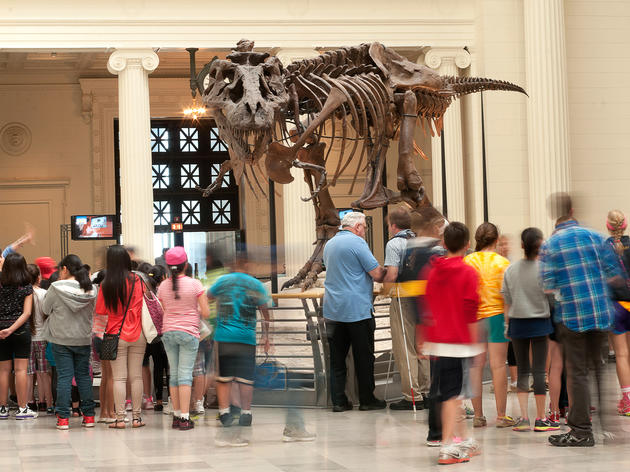 The Field Museum The Field Museum