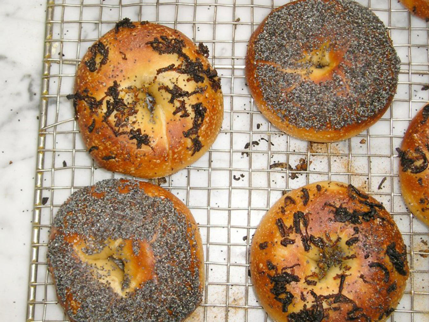 Best bagels in San Francisco for New York-style bagels