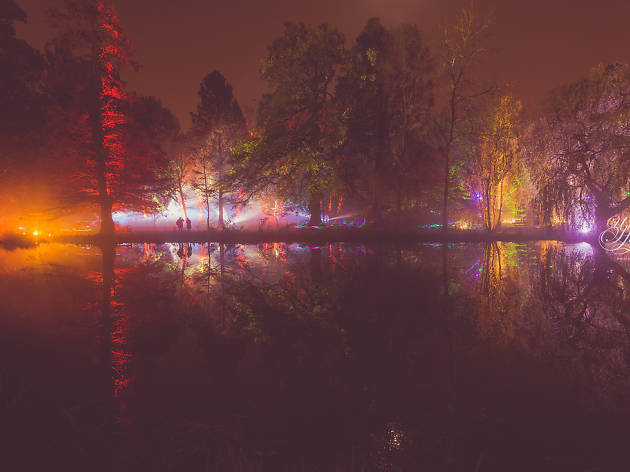 Enchanted Woodland, Syon Park Enchanted Woodland, Syon Park