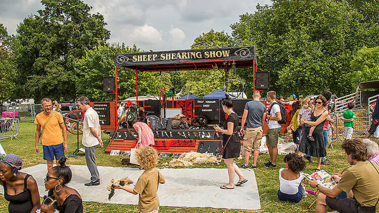 Lambeth Sheep Shearing Show