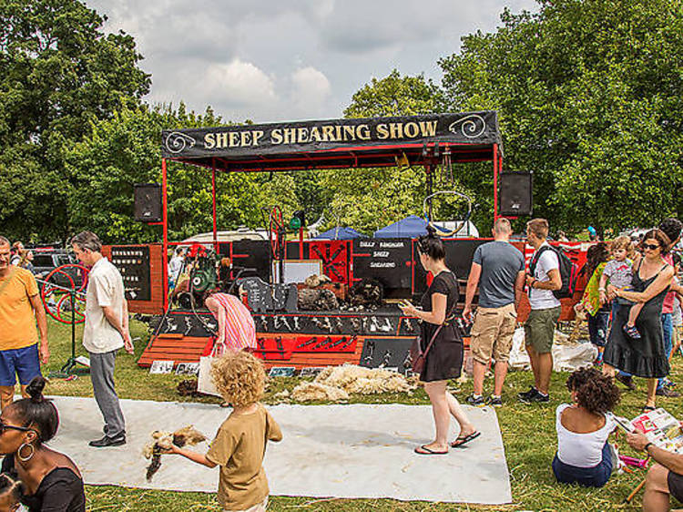 Lambeth Sheep Shearing Show