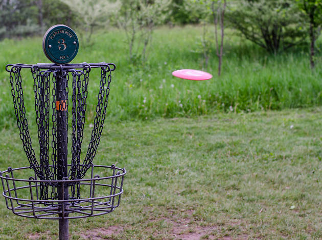 Disc golf disc golf