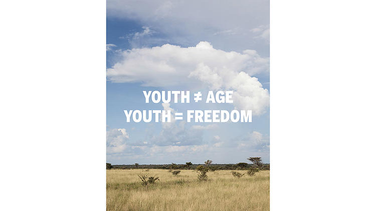 K-HOLE, YOUTH MODE: A REPORT ON FREEDOM, 2013