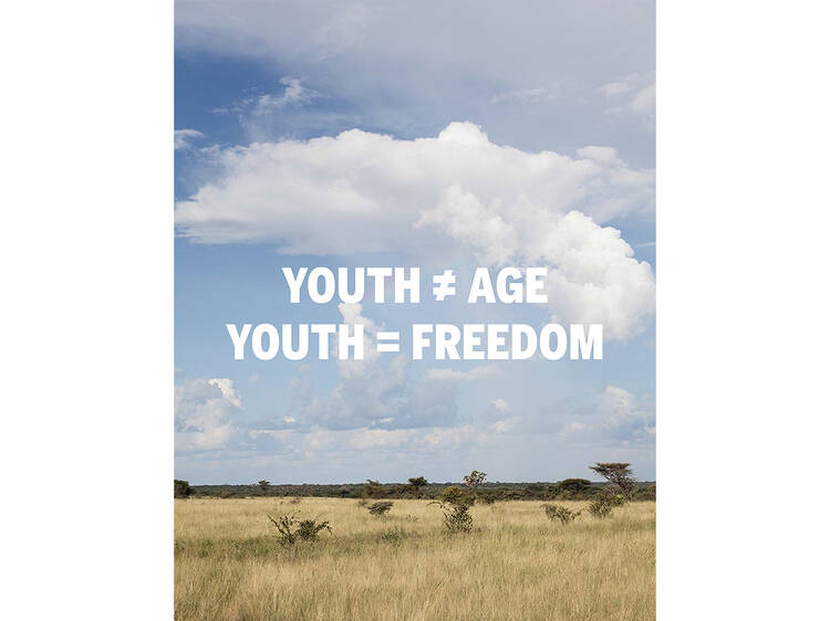 K-HOLE, YOUTH MODE: A REPORT ON FREEDOM, 2013