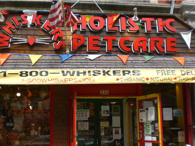 Find a great pet store in New York City