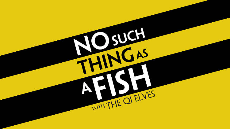 No Such Thing as a Fish logo