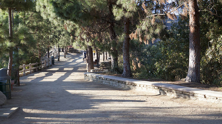 Find out more about that special someone at Griffith Park.