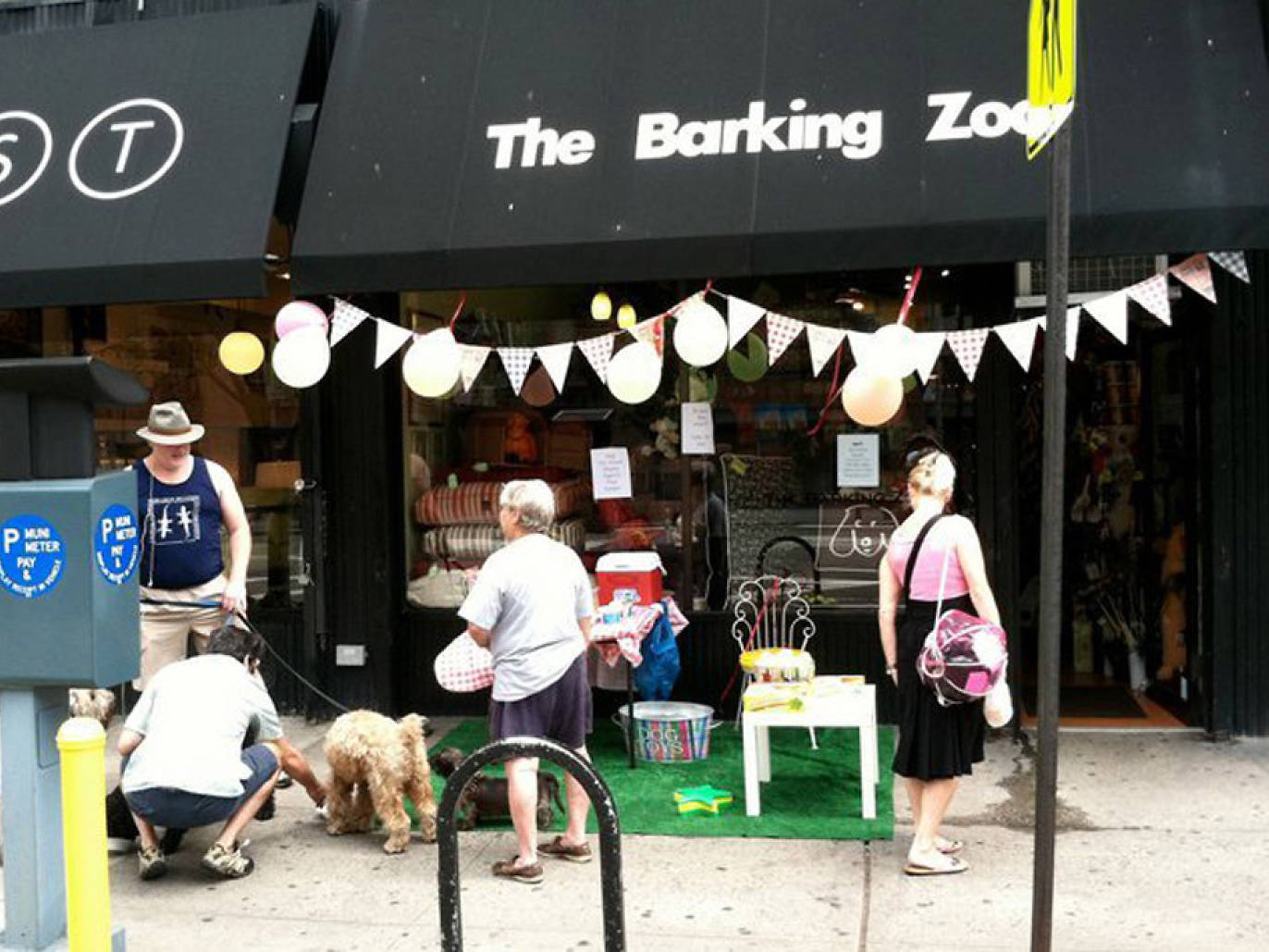 Find a great pet store in New York City