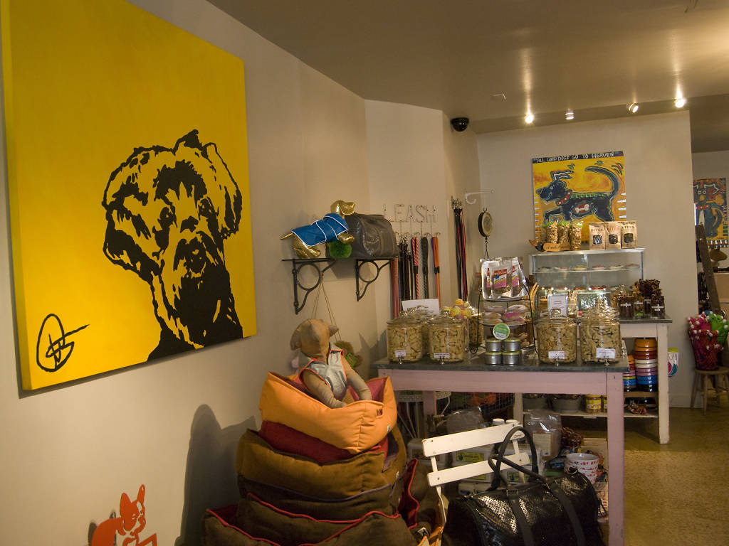 Find a great pet store in New York City