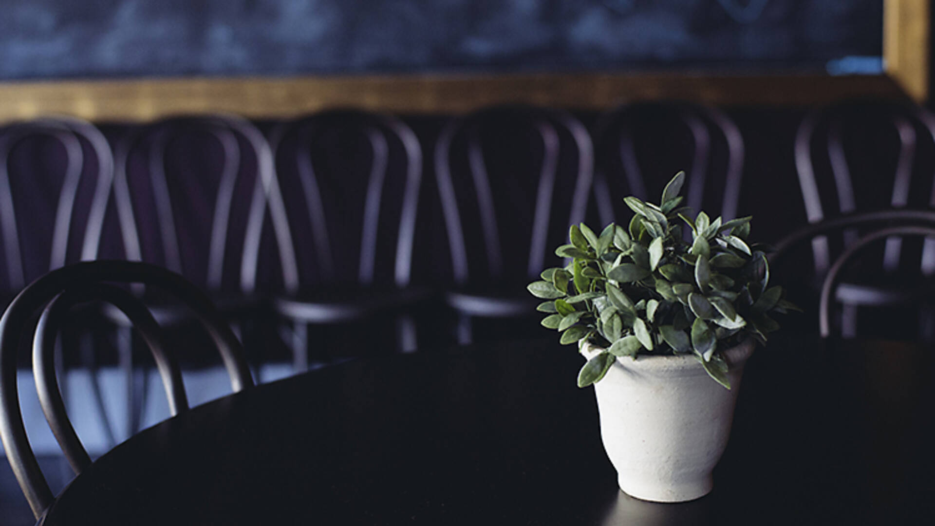 Catcher in the Rye Bars in Toluca Lake, Los Angeles