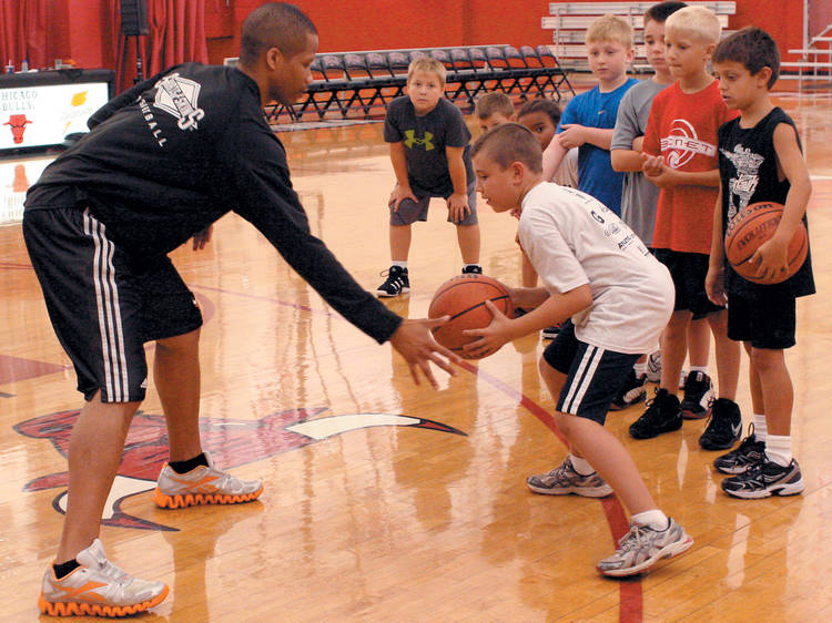 Chicago Bulls Camp