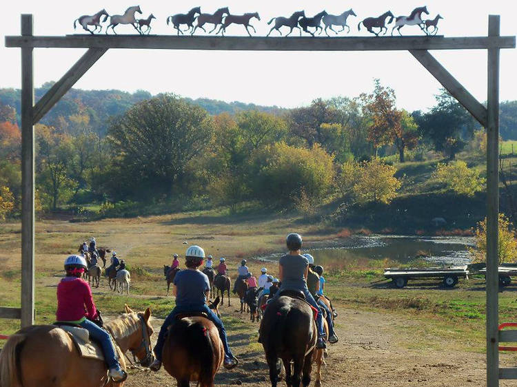 Camp White Pines Ranch