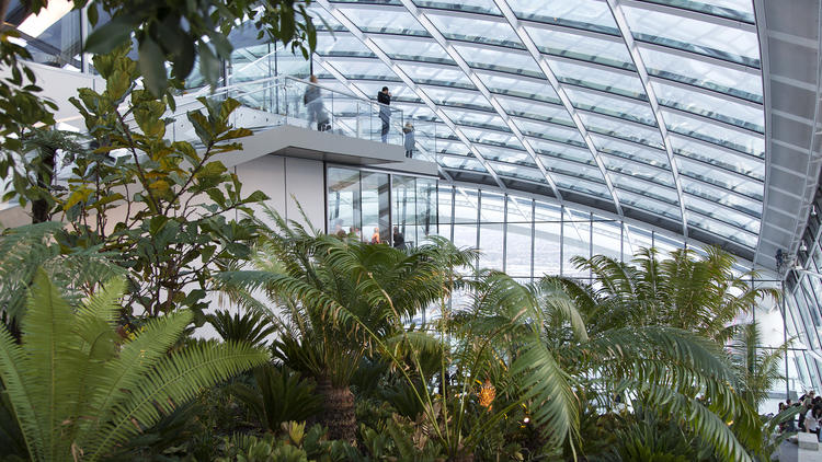 Enjoy blinding views over London at Sky Garden