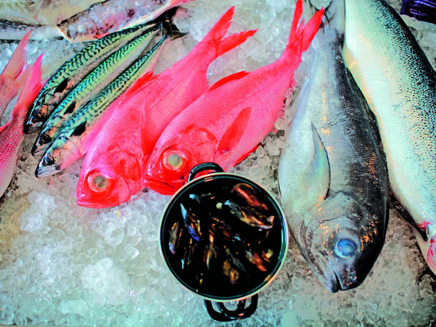 Fresh seafood Fresh seafood