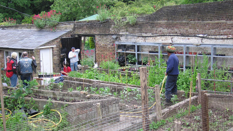 Streatham Common Community Garden