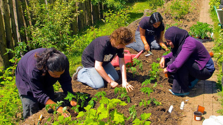 Alara Permaculture Forest Garden