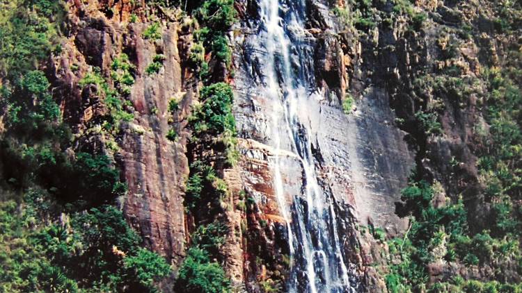 Bambarakanda Falls is a waterfall in Badulla