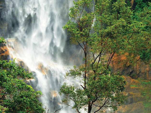 Dunhinda Falls Dunhinda Falls is a waterfall in Badulla