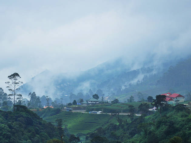 Nuwara Eliya | Travel in Nuwara Eliya, Sri Lanka