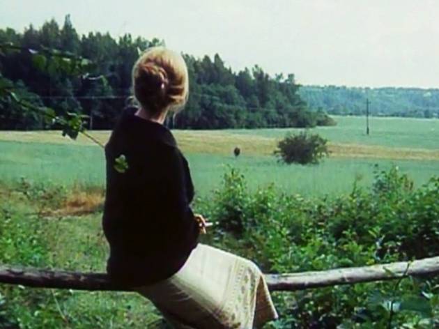 Le Miroir Le Miroir (d'Andreï Tarkovski (1974))