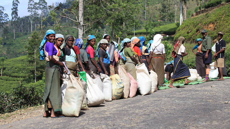 Hatton is a town in Nuwara Eliya