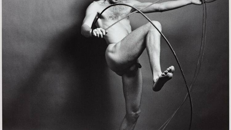 Mapplethorpe, look at the picture