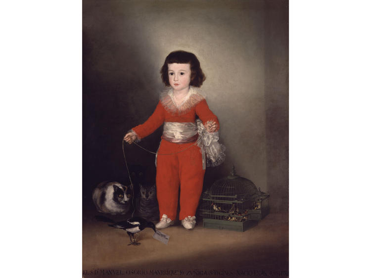 Manuel Osorio Manrique de Zuñiga (circa 1790s), Francisco Goya