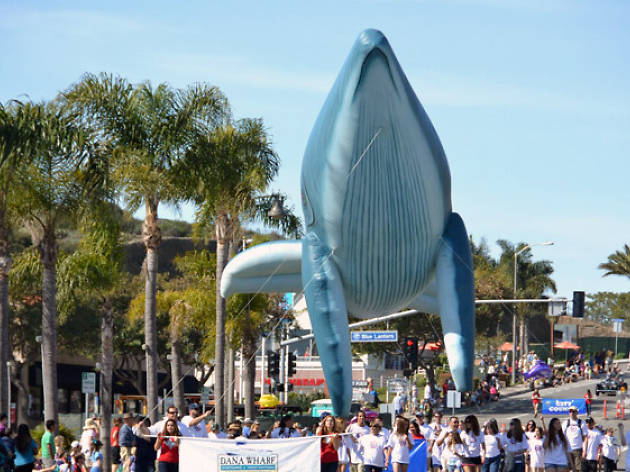 Dana Point Festival of Whales Dana Point Festival of Whales