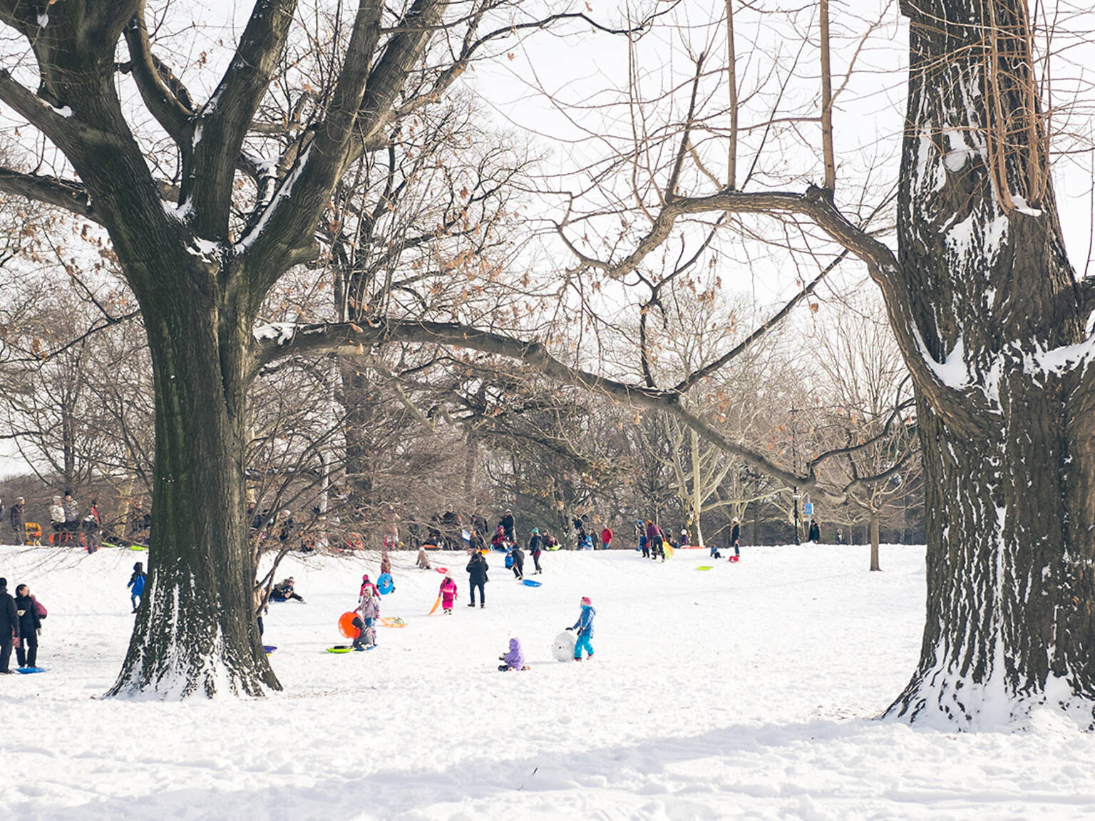 22 Best Things To Do In Winter In Boston 