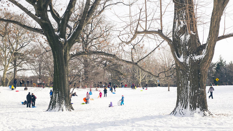 Channel your inner kid and go sledding or tubing