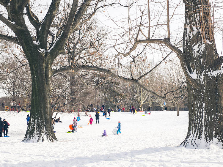 Channel your inner kid and go sledding or tubing