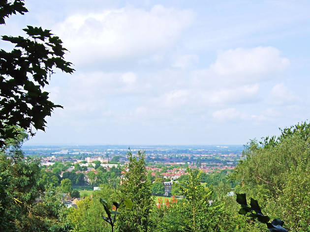 View from St Mary's Church, Harrow