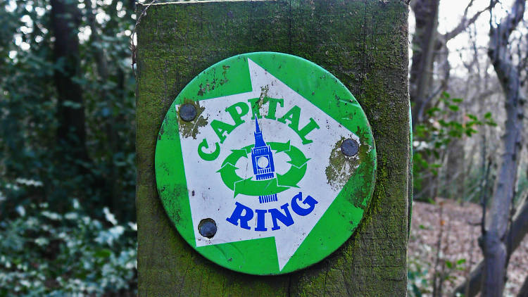 The Capital Ring