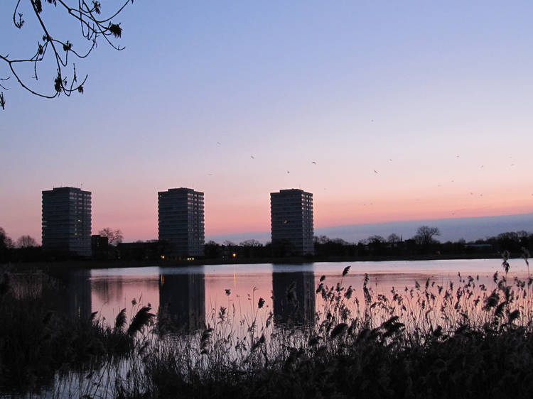 Woodberry Wetlands