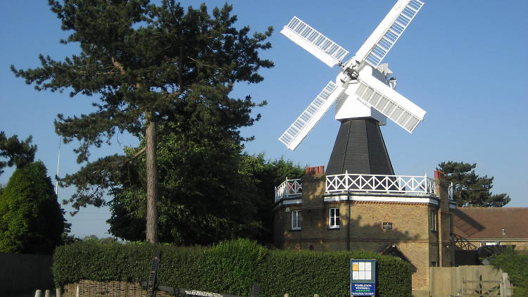 The Wimbledon windmill