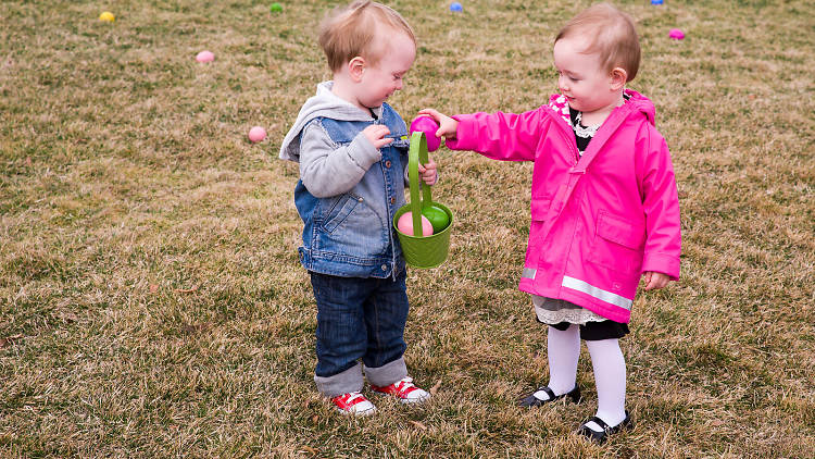 Easter Egg Brunch at the Chicago Botanical Garden