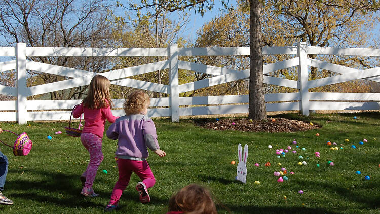 Easter Egg-Stravaganza at the Lincoln Park Zoo