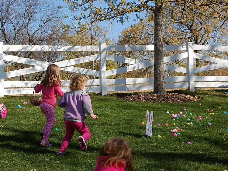 Easter Egg-Stravaganza at the Lincoln Park Zoo