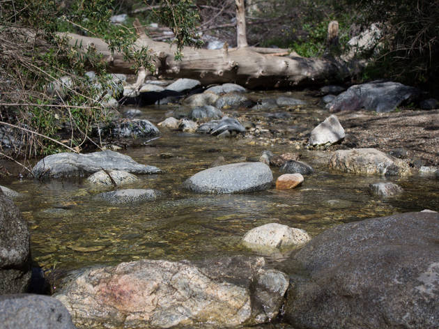 Eaton Canyon Falls Trail.