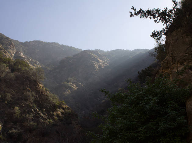 Eaton Canyon Falls Trail.