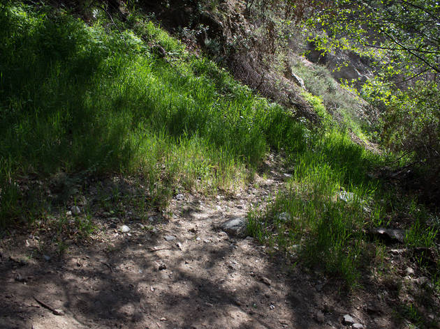 Eaton Canyon Falls Trail.