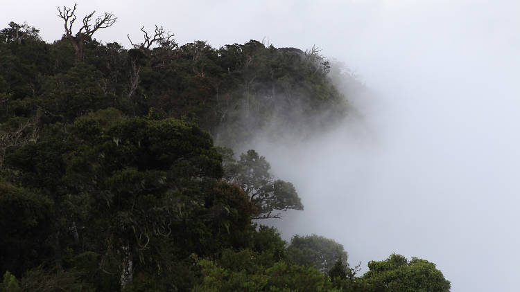 A view point in the Horton Plains