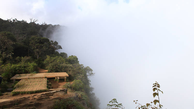 A view point in the Horton Plains