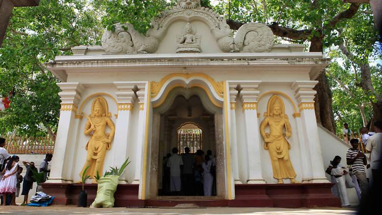 A sacred sanctuary with a holy fig tree