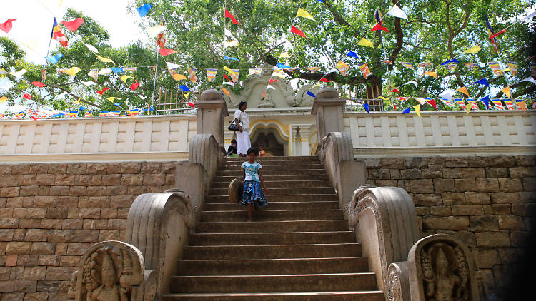 A sacred sanctuary with a holy fig tree