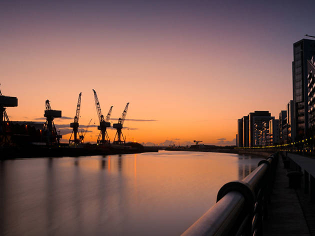 6 cranes sunset 6 cranes sunset