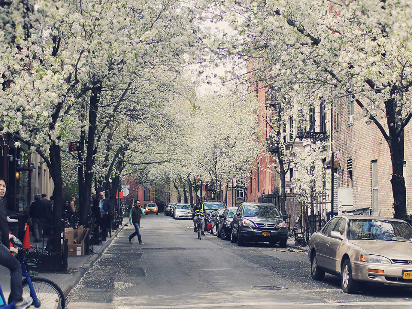 Prepare to swoon at these 20 beautiful photos of NYC in spring