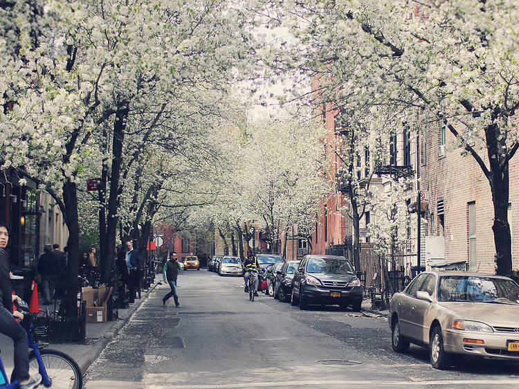 Prepare to swoon at these 20 beautiful photos of NYC in spring
